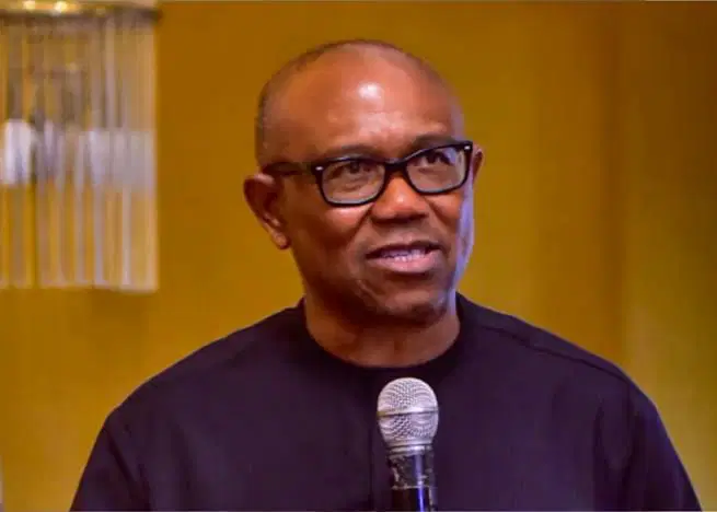 peter-obi-speaker (3)