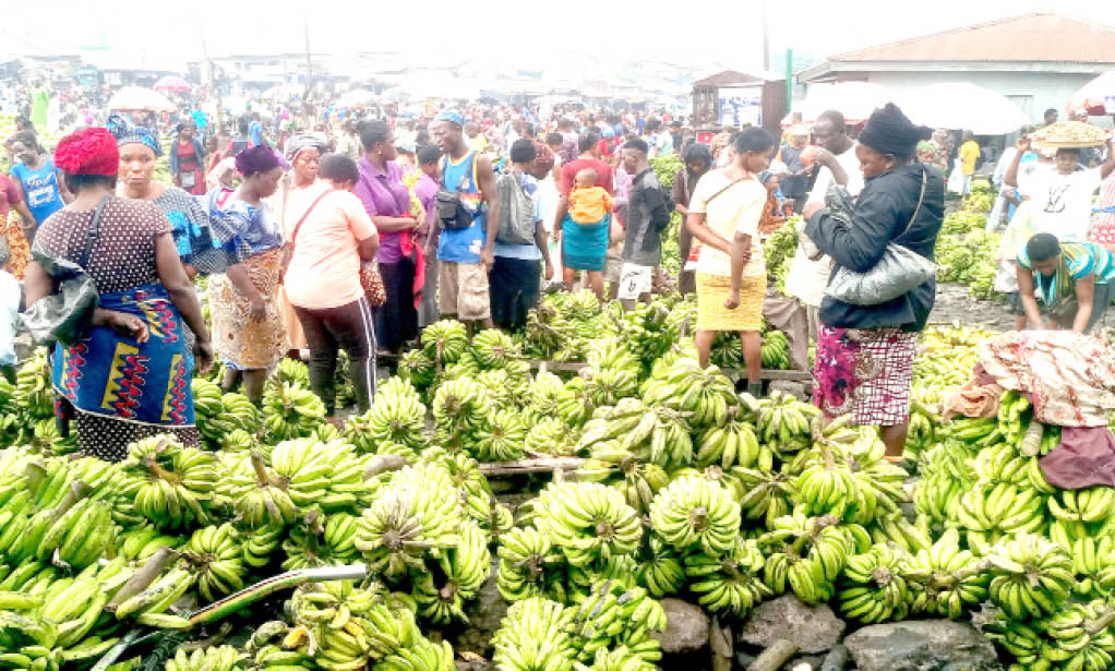 Trading-ongoing-at-the-Zuba-fruits-market-in-the-Federal-Capital-Territory-Abuja-recently