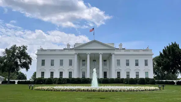 White-House