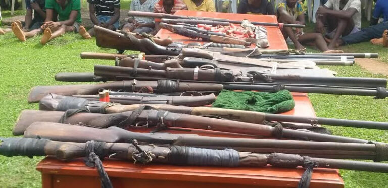 Allegedly-recovered-firearm