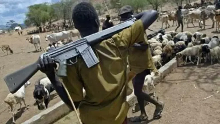 Armed-Fulani-herdsmen-edited (1)