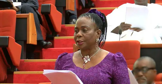 Biodun-Olujimi-senator-in-Nigeria