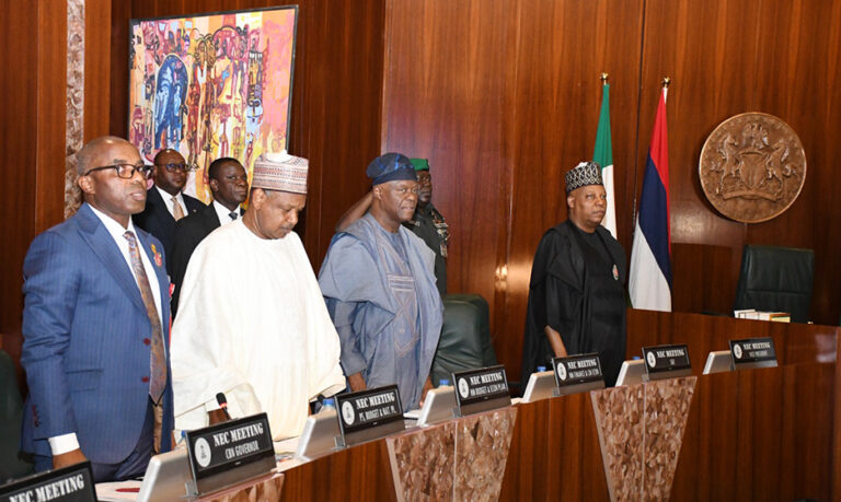 Pic-15-NEC-MEETING