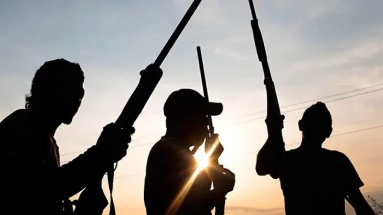 Gunmen-used
