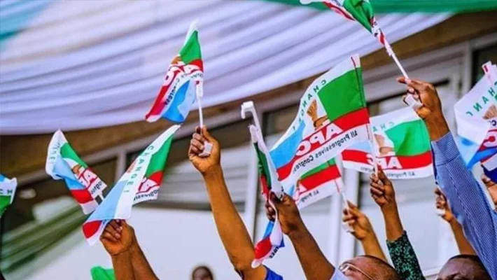 APC-LOGO-FLAG