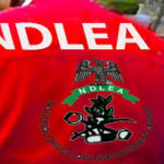 NDLEA (1)