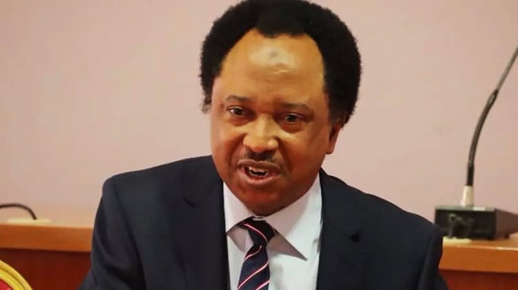 Shehu-Sani1