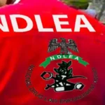 NDLEA-1 (1)