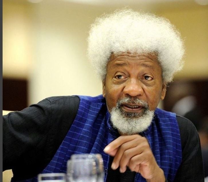 Soyinka-e1720917823836 (1)