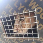 WhatsApp-Image-2025-11-17-at-7.16.08-AM