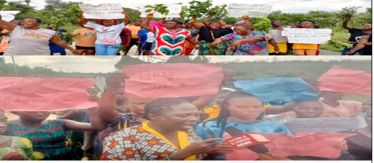 Screenshot_20251216_100251_WPS Office