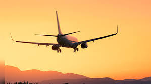 images - 2025-12-11T105231.441