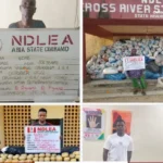 NDLEA