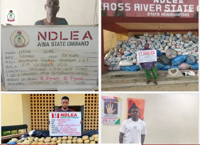NDLEA